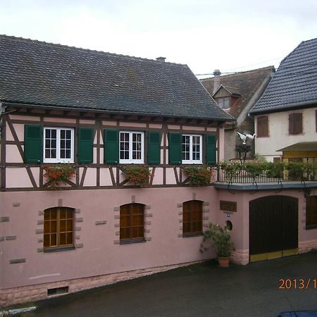 Gite Au Nid De Cigognes Villa Dieffenthal Exteriör bild