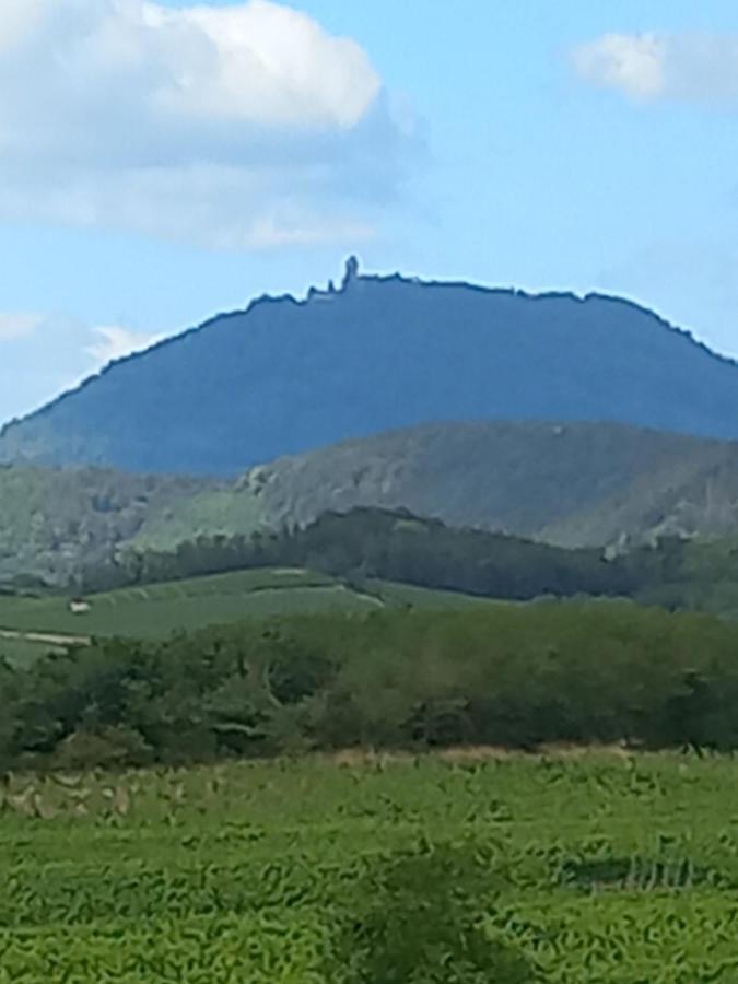 Gite Au Nid De Cigognes Villa Dieffenthal Exteriör bild