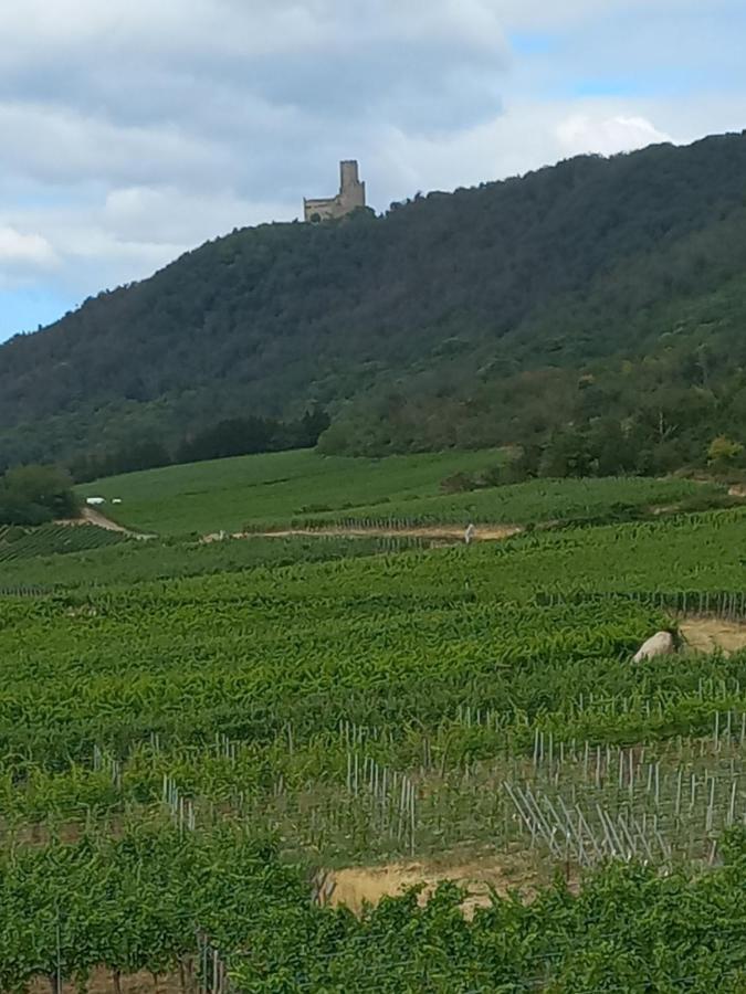 Gite Au Nid De Cigognes Villa Dieffenthal Exteriör bild