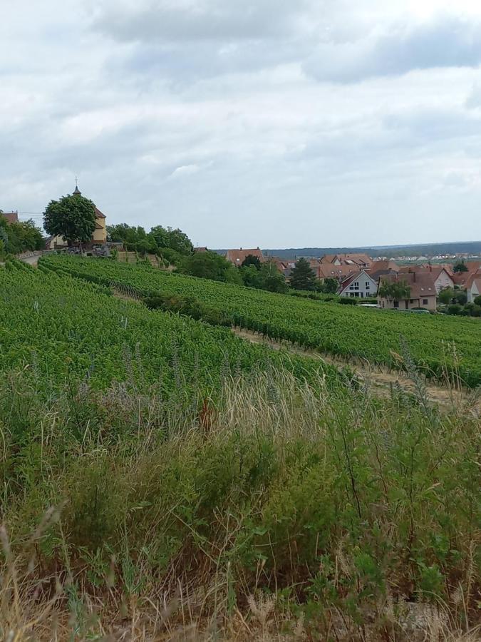 Gite Au Nid De Cigognes Villa Dieffenthal Exteriör bild