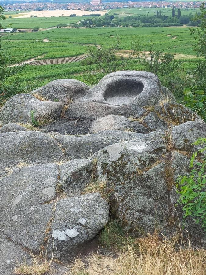 Gite Au Nid De Cigognes Villa Dieffenthal Exteriör bild