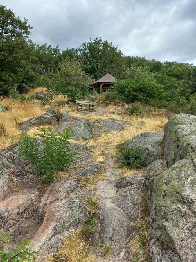 Gite Au Nid De Cigognes Villa Dieffenthal Exteriör bild