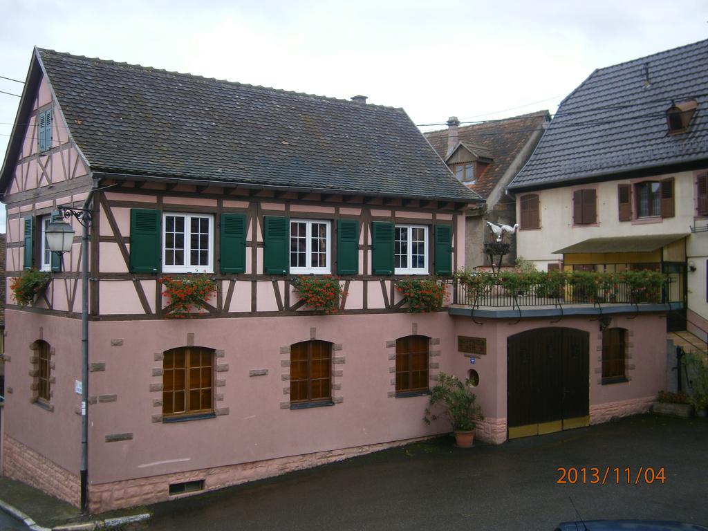 Gite Au Nid De Cigognes Villa Dieffenthal Exteriör bild